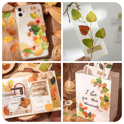 Autumn Leaf Paper Tape Stickers for Card Making DIY-TAC0032-23B-1