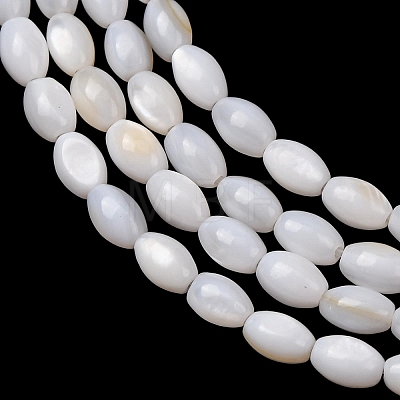 Natural Freshwater Shell Beads Strands SH-CBA2978-06A-1