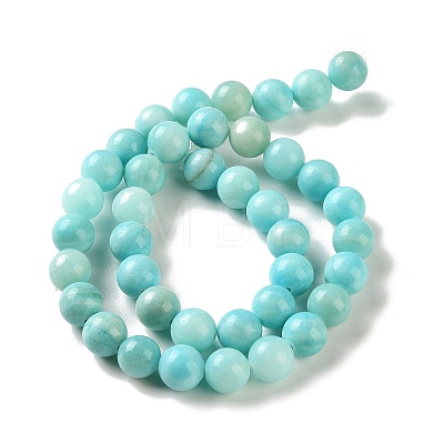 Natural Striped Stone Beads Strands G-B192-B01-10mm-1