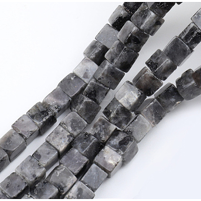 Natural Larvikite Beads Strands G-G002-A08-1