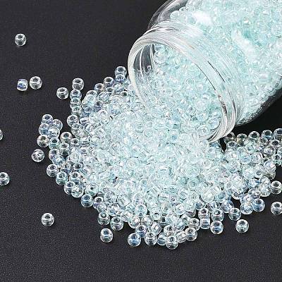 TOHO 6/0 Round Beads SEED-TR06-0170-1