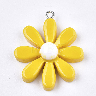 Resin Pendants CRES-T010-87D-1