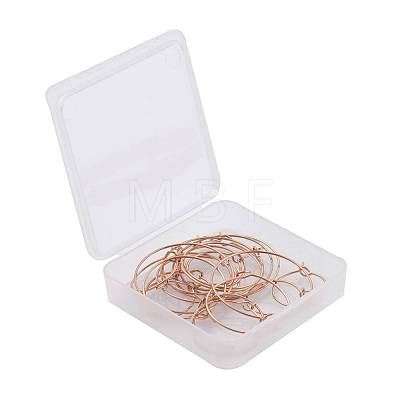 30Pcs 5 Size 316L Surgical Stainless Steel Hoop Earring Findings STAS-ZZ0001-03G-1
