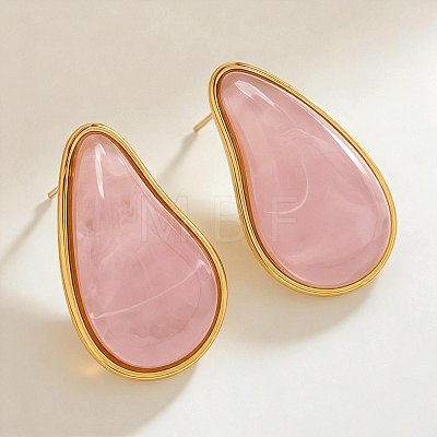 304 Stainless Steel Resin Stud Earrings WGF91D5-01-1