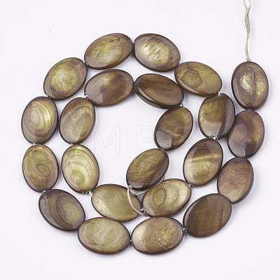 Freshwater Shell Beads Strands SHEL-S274-37B-1