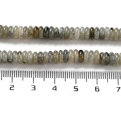 Natural Labradorite Beads Strands G-G084-A03-01-1