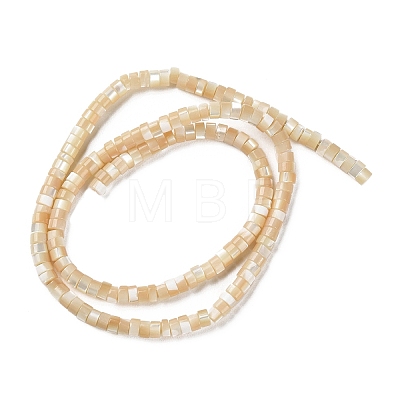 Natural Trochus Shell Beads Strands BSHE-E030-09B-02-1