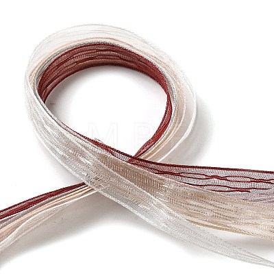 Polyester and Nylon Ribbon Sets DIY-Z029-01H-1