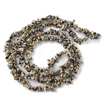 Natural Dalmatian Jasper Beads Strands G-G0003-B29-1