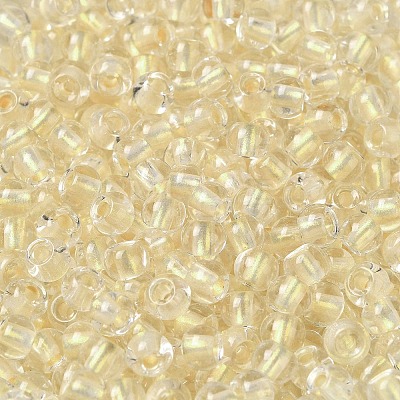 6/0 Transparent Colours Glass Seed Beads SEED-P006-01A-01-1