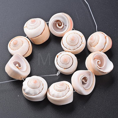 Natural Spiral Shell Bead Strands X-SSHEL-N034-106-1