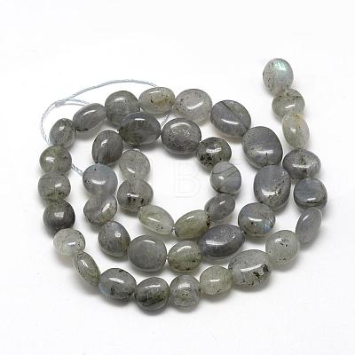 Natural Labradorite Beads Strands G-R445-8x10-20-1