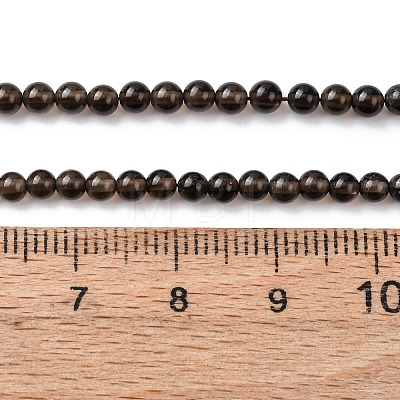 Natural Smoky Quartz Beads Strands G-Z116-A03-3mm-1