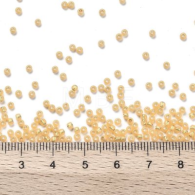 TOHO Round Seed Beads SEED-JPTR11-2110-1