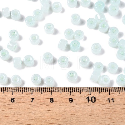 Glass Seed Beads SEED-T008-01E-1