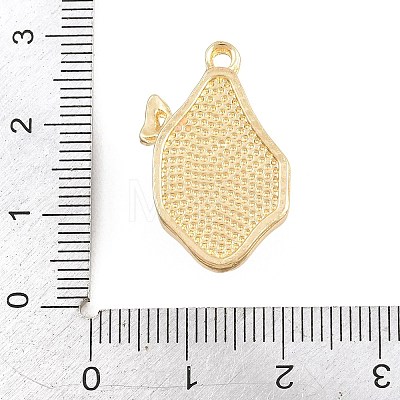 Alloy with Enamel Pendants RB-CBA01F2-02G-C-1