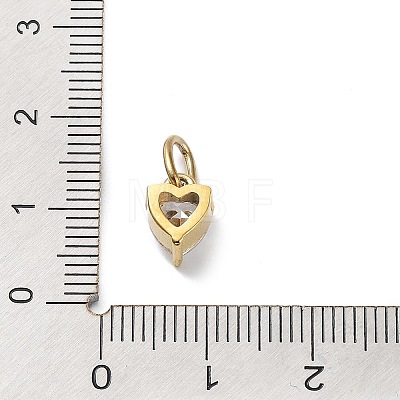 316 Stainless Steel Micro Pave Cubic Zirconia Charms ZIRC-P108-01G-D-1
