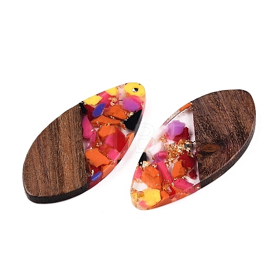 Transparent Resin and Walnut Wood Pendants RESI-T057-05L-1