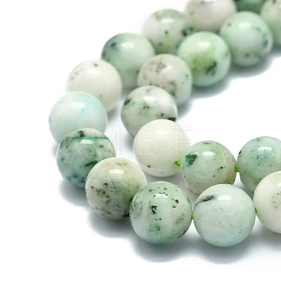 Natural Chrysocolla Beads Strands G-E576-04A-1