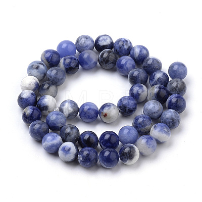 Natural South Africa Sodalite Beads Strands X-G-S259-35-8mm-1