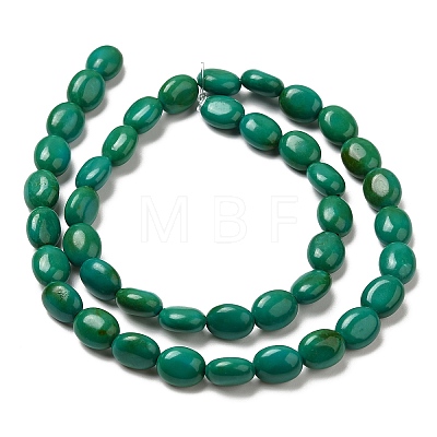 Natural Howlite Beads Strands G-B049-D01-01B-1