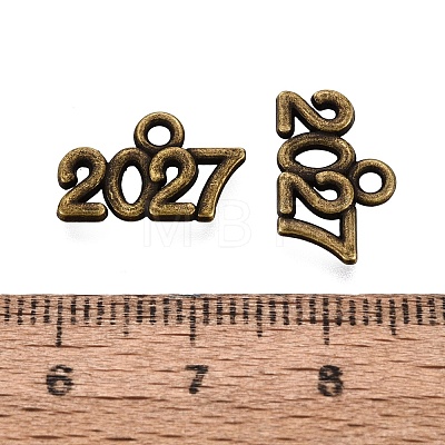 New Year's Day Tibetan Style Alloy Charms FIND-N014-01AB-1