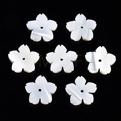 Natural White Shell Beads SSHEL-S260-025-1