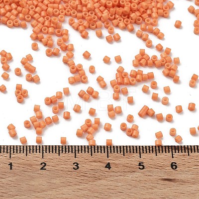 Baking Paint Glass Seed Beads SEED-S042-05B-83-1