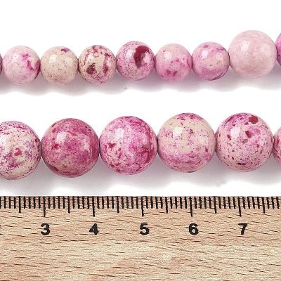 Natural Fossil Graduated Beads Strands G-F830-A03-01-1