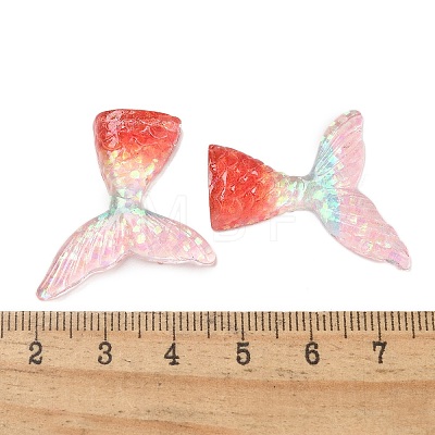 Resin Cabochons RESI-R456-02E-1