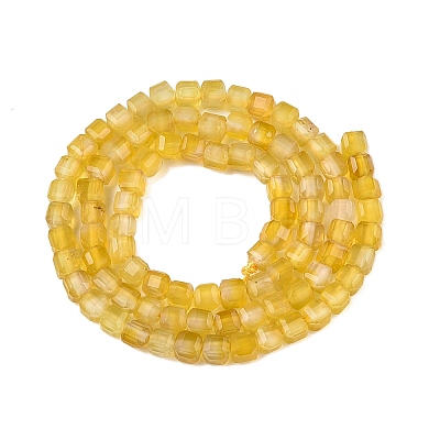 Dyed Natural Agate Beads Strands G-T138-211J-1