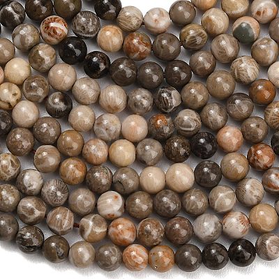 Natural Fossil Coral Beads Strands G-C288-A01-6mm-1