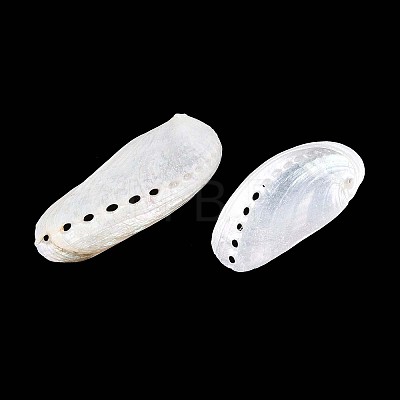 Abalone Shells Ornaments SHEL-T020-54-1
