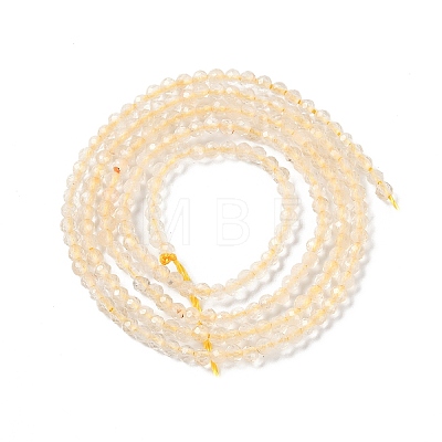 Natural Citrine Beads Strands G-P542-A02-01-1