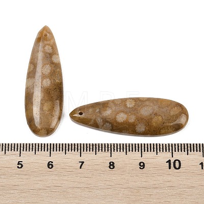 Natural Fossil Coral Pendants G-B187-01C-05-1