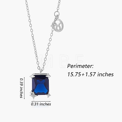 925 Sterling Silver Zircon Pendant Necklace 12 Constellation Pendant Necklace Jewelry Anniversary Birthday Gifts for Women Men JN1088D-1