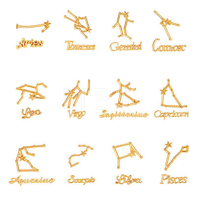 Twelve Constellations Alloy Cabochons DIY-CJ0001-29-1