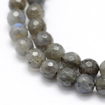 Natural Labradorite Beads Strands G-P322-30-6mm-1