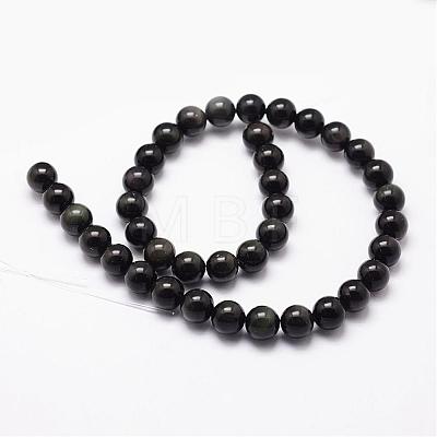 Natural Obsidian Beads Strands G-D838-14mm-04-1