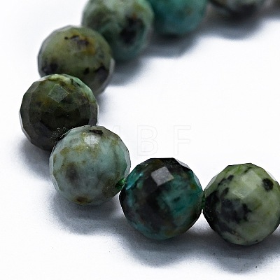 Natural African Turquoise(Jasper) Beads Strands G-G927-24-1