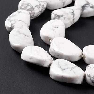 Natural Howlite Beads Strands G-M208-13-1