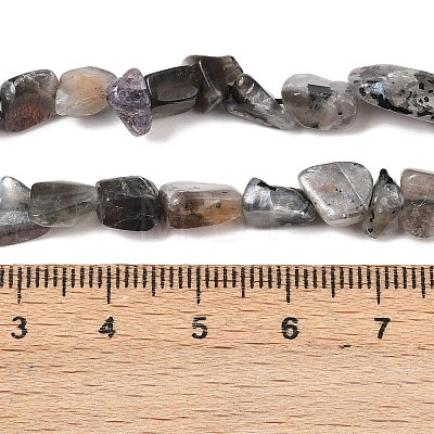 Natural Moonstone Beads Strands G-A284-A01-03-1
