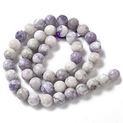 Natural Purple Turquoise Beads Strands G-L595-C04-02-1