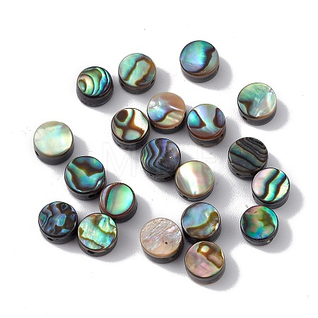 Natural Abalone Shell/Paua Shell Beads SSHEL-M021-02-1