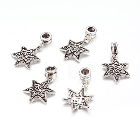 Alloy European Dangle Charms X-PALLOY-JF00001-17-1