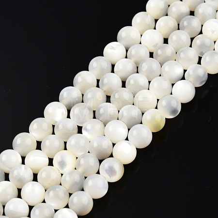 Natural White Shell Bead Strands SSHEL-N003-144D-01-1
