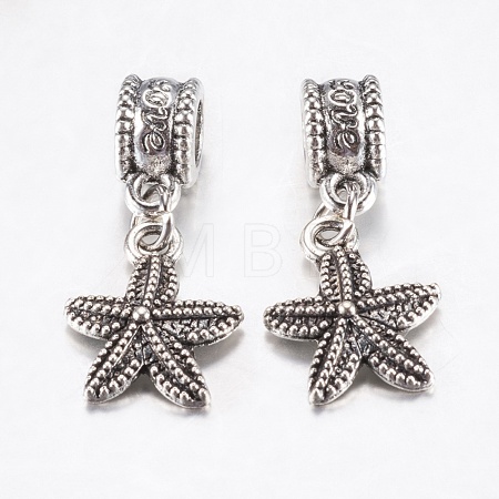 Tibetan Style Alloy European Dangle Charms PALLOY-F199-41AS-1