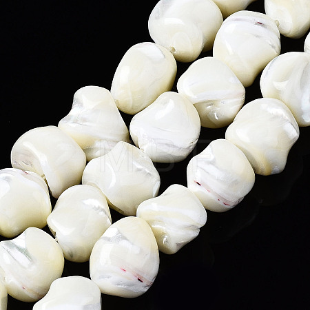 Natural Trochid Shell/Trochus Shell Beads Strands SSHEL-S266-003-1