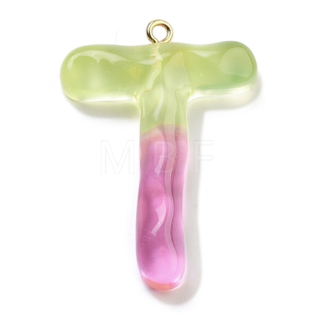 Resin Pendant FIND-Q107-01T-04-1