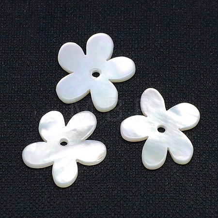 Natural White Shell Beads X-SSHEL-I008-03-1